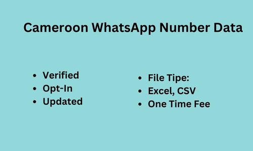 喀麦隆 Whatsapp 数据